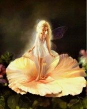 Fairy