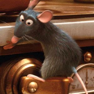 Ratatouille 