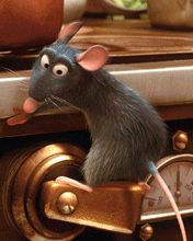 Ratatouille 