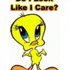 Tweety - Do I Look Like I Care