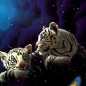 White Tigers