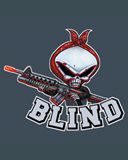 Blind
