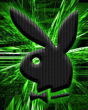 Playboy green