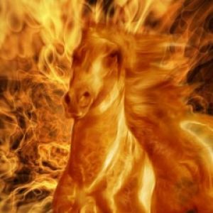 Horse in the Fire