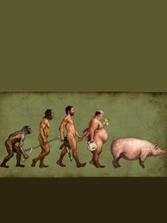 Evolution