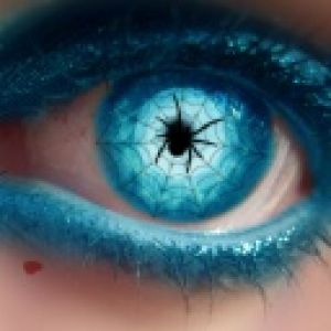 Spider in Eye