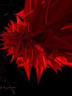 Red Cactus