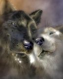 wolfs