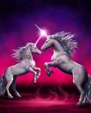 Unicorns