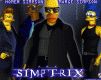 Simptrix