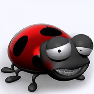 Ladybug