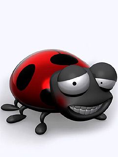 Ladybug