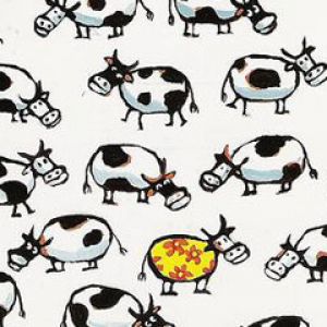 Cows