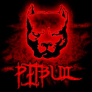 Pitbull