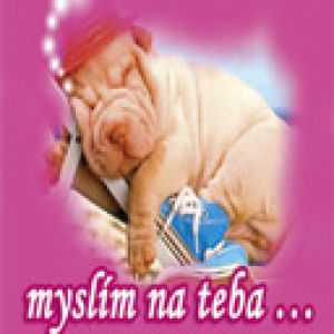 myslĂ­m na teba...