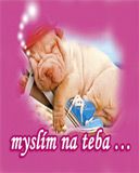 myslĂ­m na teba...