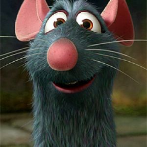 Ratatouille