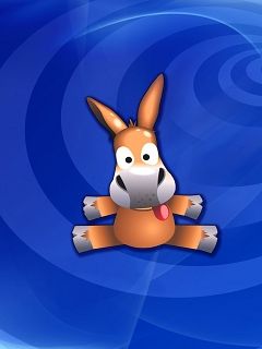 Donkey