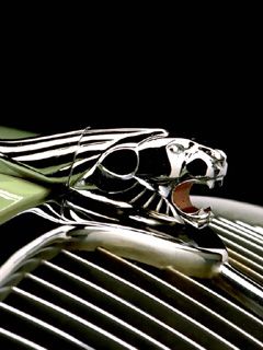 Jaguar