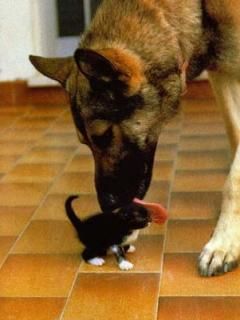 Friendship