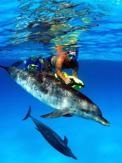 Bahamas