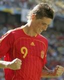 Fernando Torres