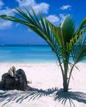 Dominican Republic