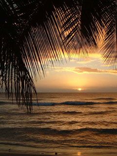 Sunset Tobago