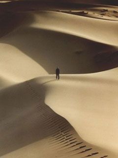 Sahara