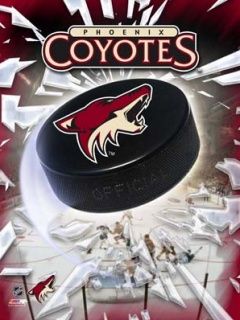 Coyotes