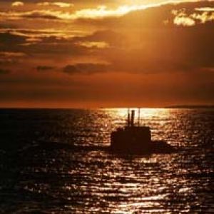 sous marins