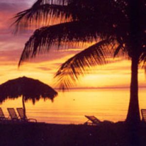 Jamaica