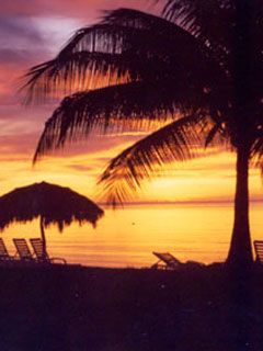 Jamaica