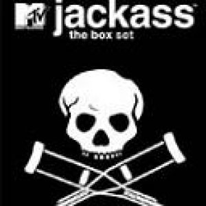 jackass