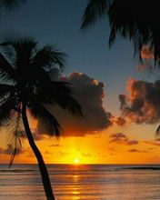 Beaches Afternoon Delight at Tobago