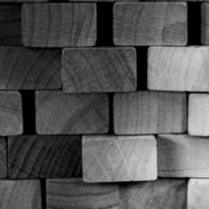 Wood Bricks