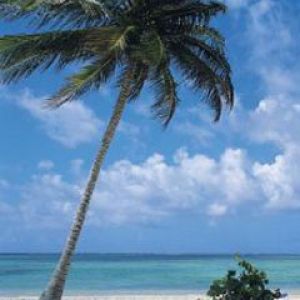 Dominica