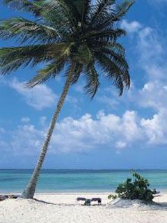 Dominica