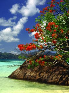 Seychelles
