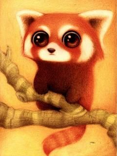 Red Panda