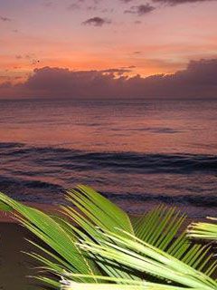 Puerto Rico