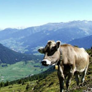 Tirol