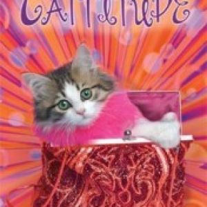 Cattitude