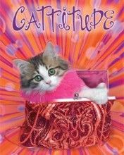 Cattitude
