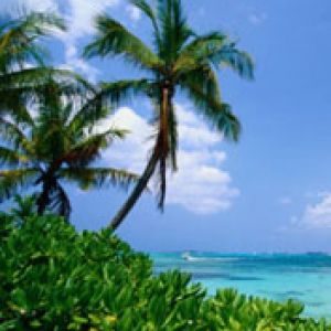 Caribbean