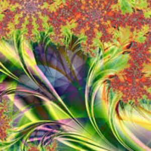 Fractal-clusters