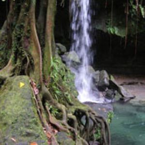 Dominica-Emerald-pool