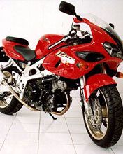 bigpic suzuk tl 1000 cc