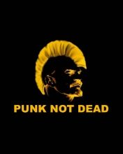 Punks Not Dead