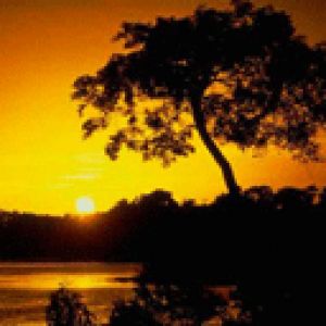 amazonia equador 